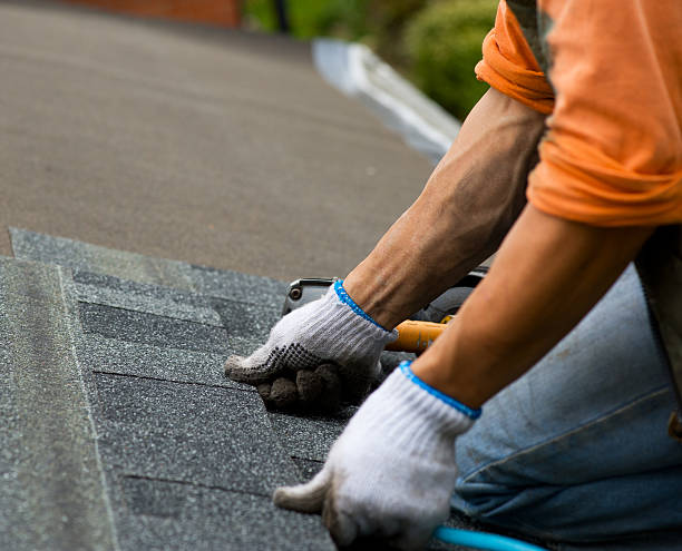 Best Gutter Installation and Roofing  in Kekoskee, WI