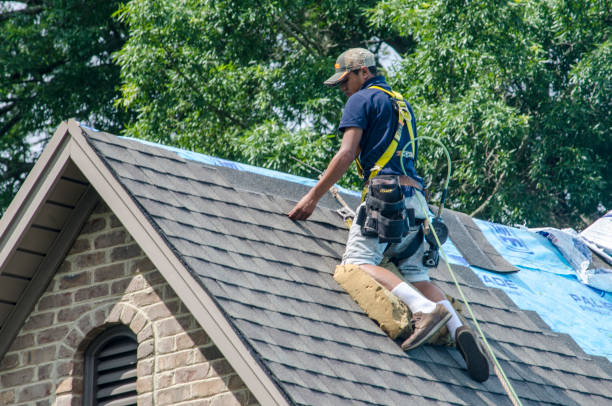 Best Roof Leak Repair  in Kekoskee, WI